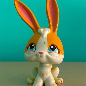 Littlest pet shop bunny